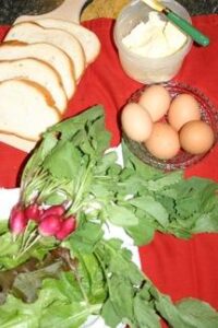 Honey in the Hive, and Hope in the Spring Image